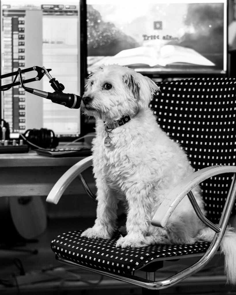 Get to know Stego our furry costar!